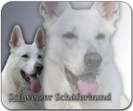 Mousepad Schweizer Schäferhund